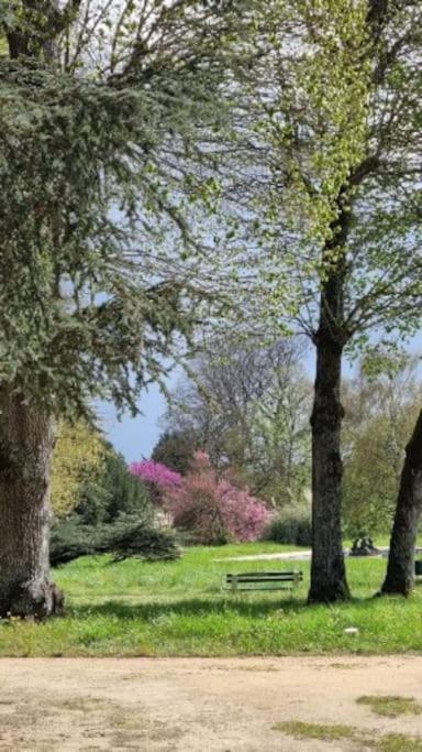 Pavillon Des Ecureuils Au Chateau Royal De Benays Benais Zewnętrze zdjęcie